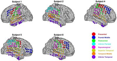 Consistent spectro-spatial features of human ECoG successfully decode naturalistic behavioral states